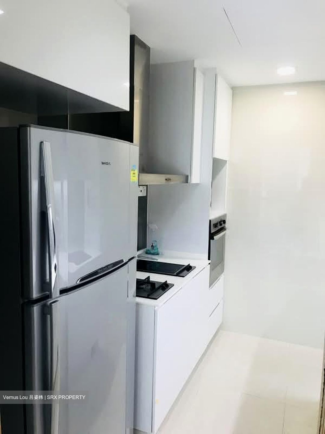Park Infinia At Wee Nam (D11), Condominium #603071161